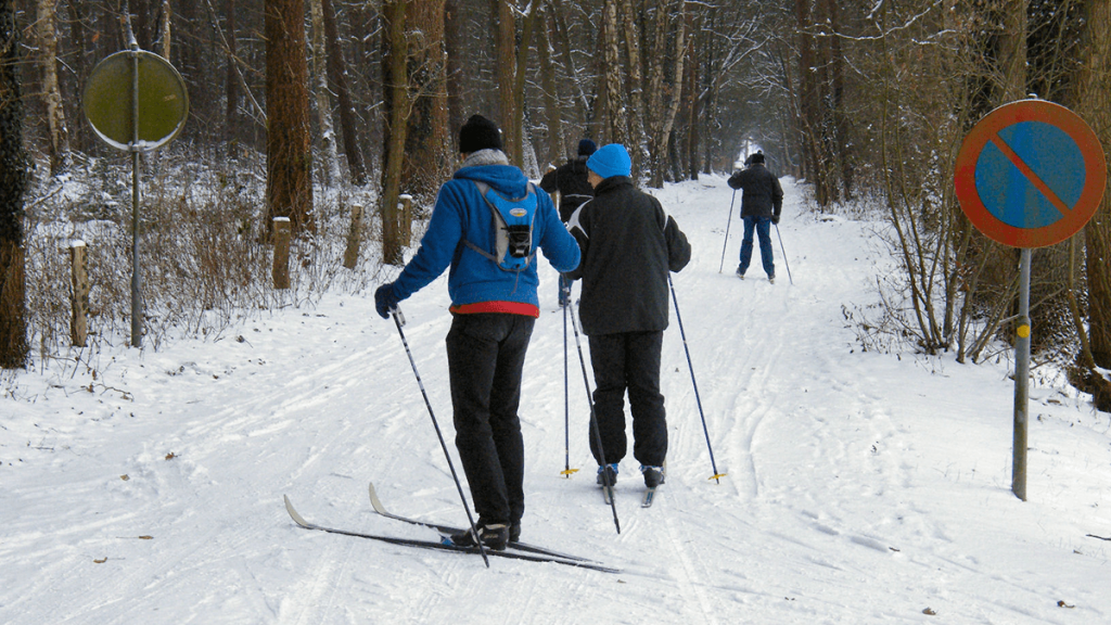 Wintersport in Dalfsen